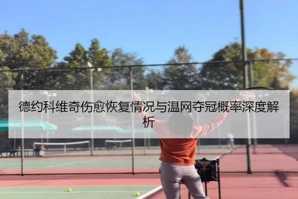 德约科维奇伤愈恢复情况与温网夺冠概率深度解析
